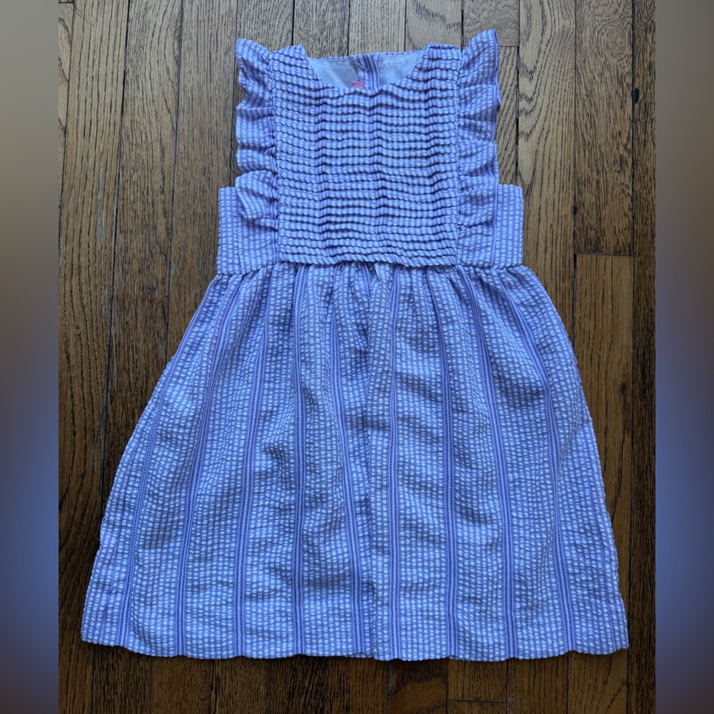 Bisby Purple Seersucker Dress size 5